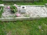 image of grave number 135358